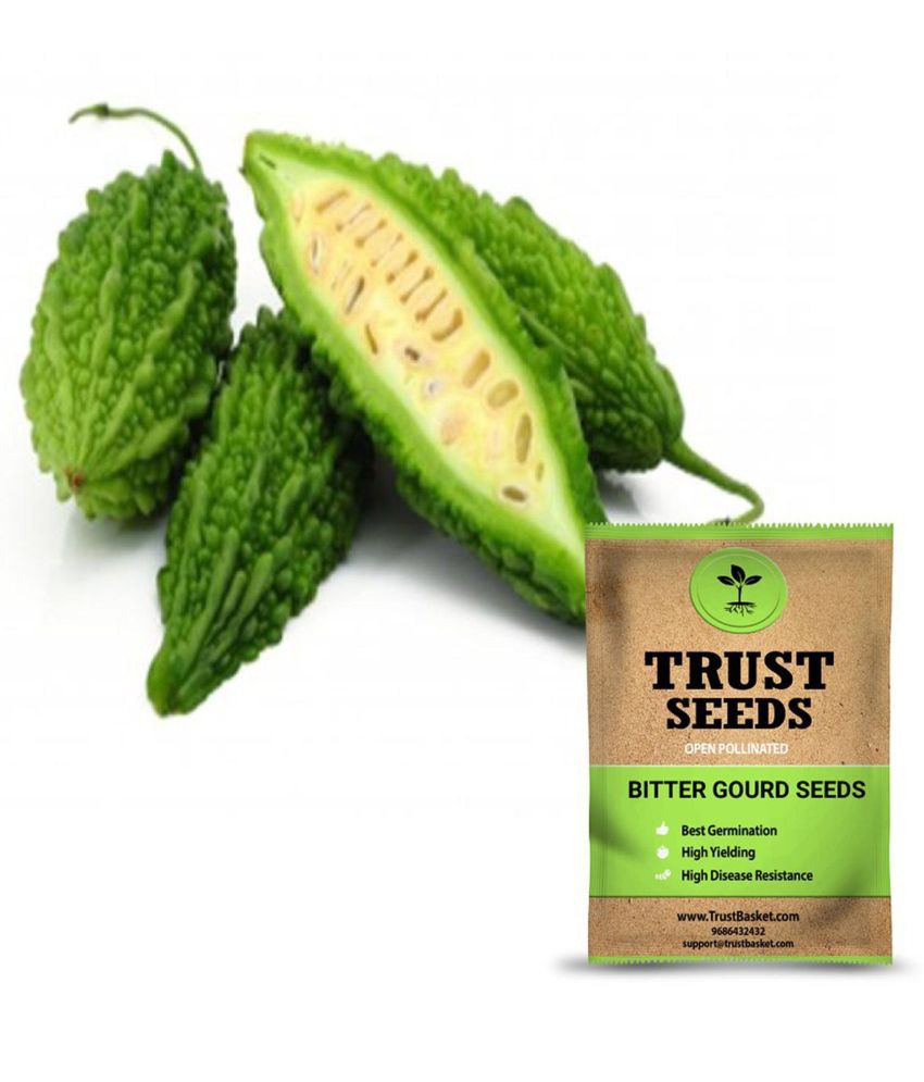     			TrustBasket Bitter Gourd Seeds OP (15 Seeds)