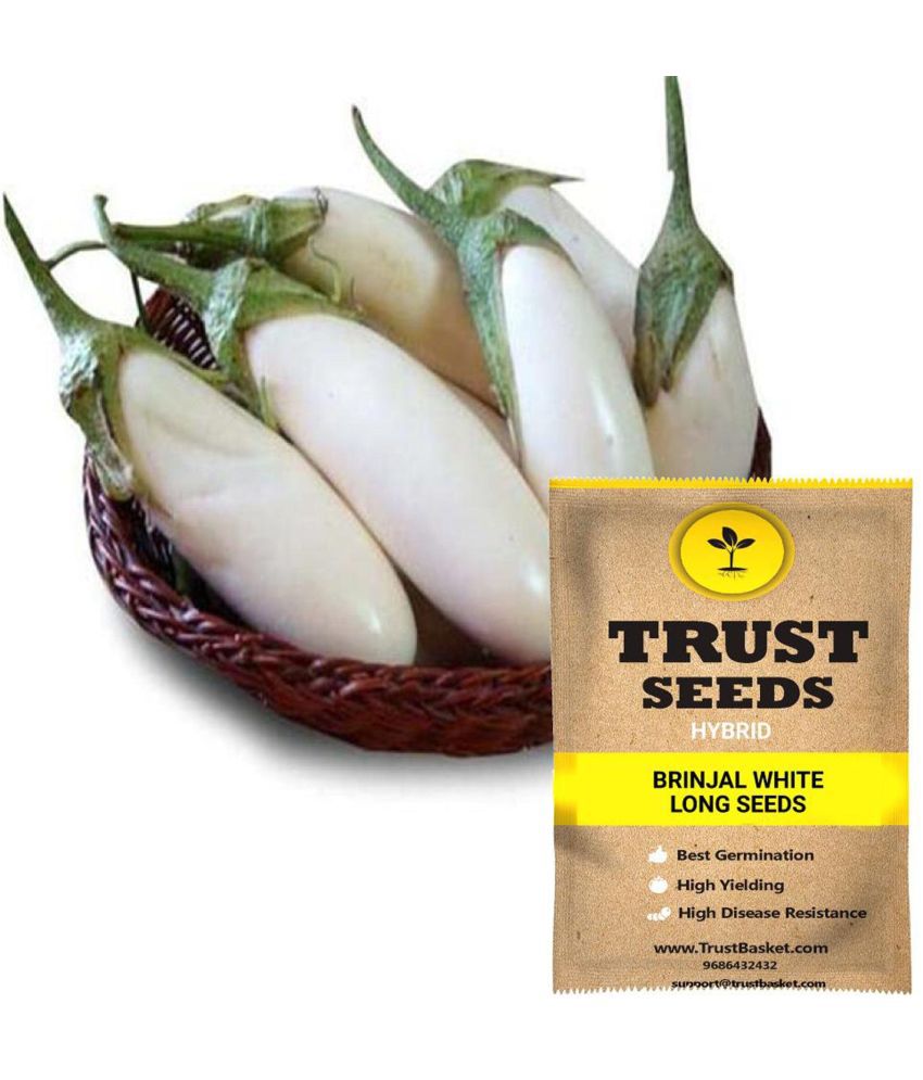     			TrustBasket Brinjal Long White Vegetable Seeds Hybrid (15 Seeds)