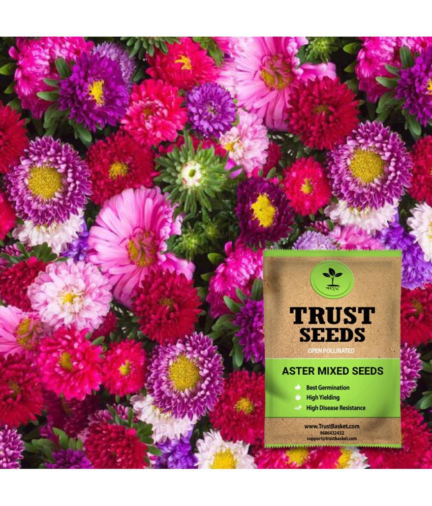     			TrustBasket Aster Mixed Seeds Open Pollinated (15 Seeds)