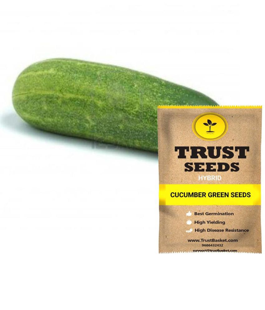    			TrustBasket Cucumber Green Vegetable Seeds Hybrid (15 Seeds)