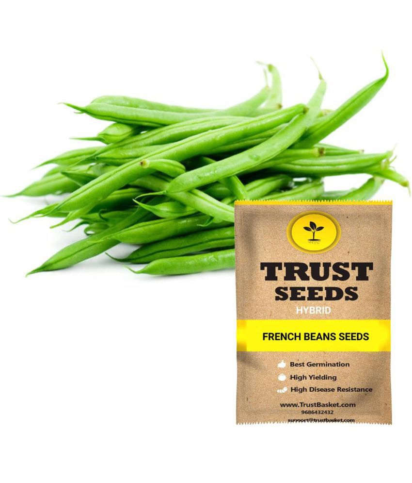     			TrustBasket France Beans Vegetable Seeds Hybrid (15 Seeds)