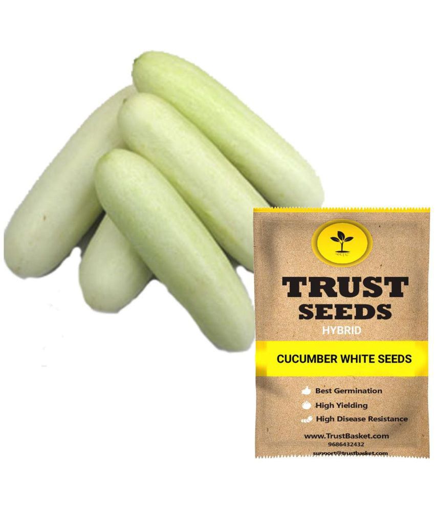     			TrustBasket White Cucumber Vegetable Seeds (15 Seeds)