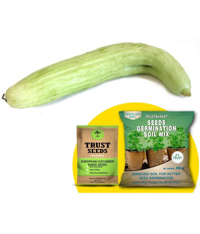     			TrustBasket European Cucumber Kakri Seeds(OP) with Free Germination Potting Soil Mix (20 Seeds)