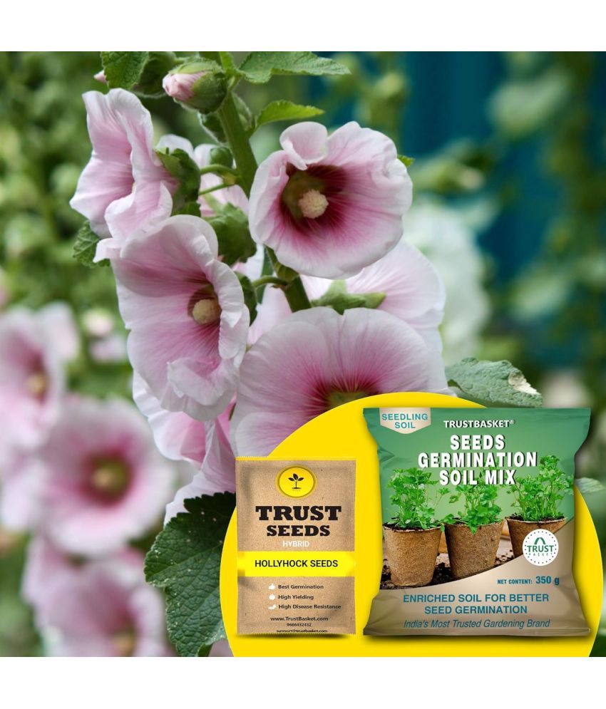     			TrustBasket Hollyhock Seeds (Hybrid) with Free Germination Potting Soil Mix (20 Seeds)