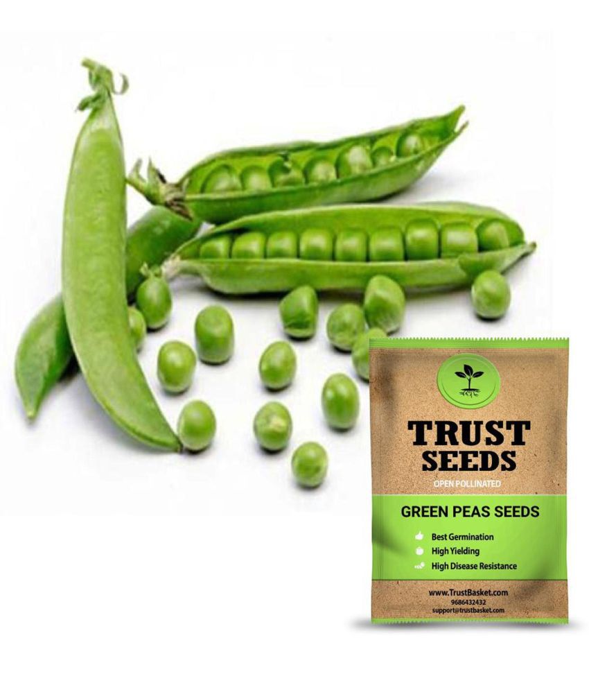     			TrustBasket Green Peas Seeds OP (15 Seeds)