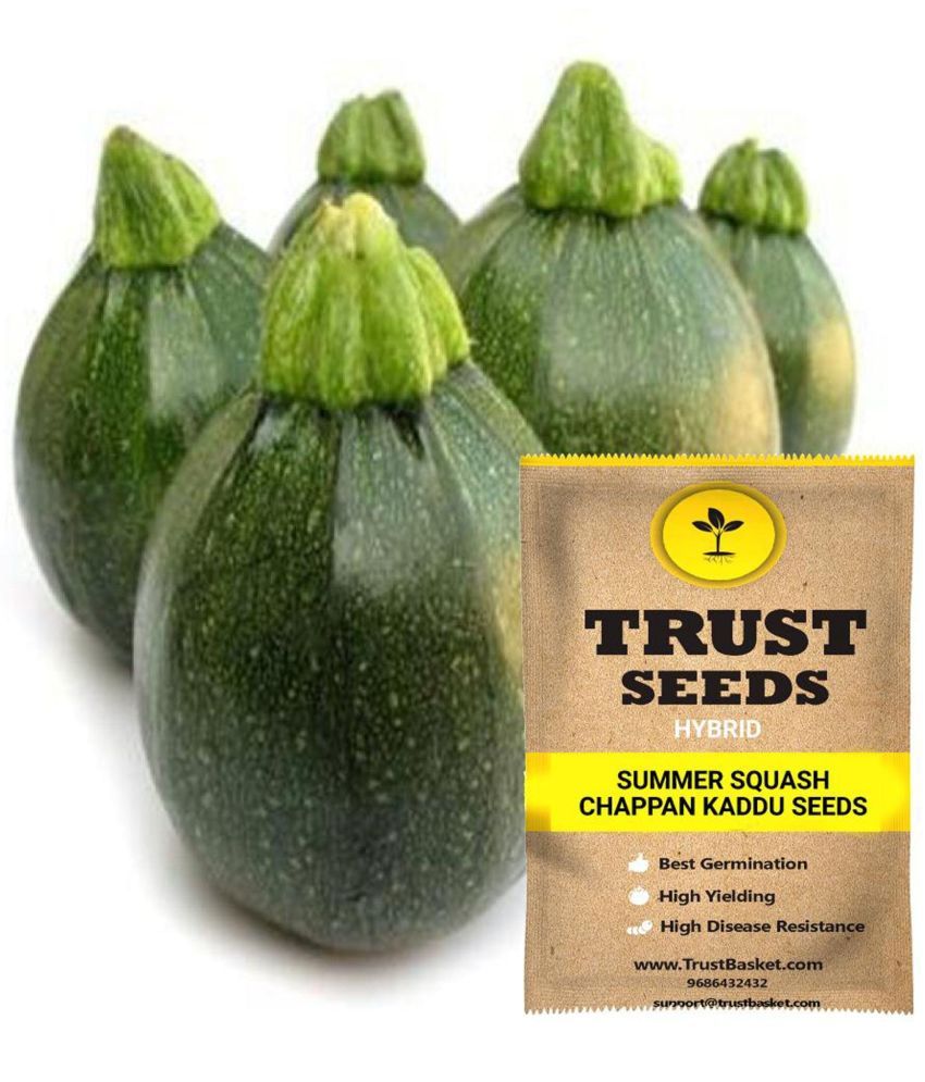     			TrustBasket Summer Squash - Chappn Kaddu Vegetable Seeds Green (15 Seeds)