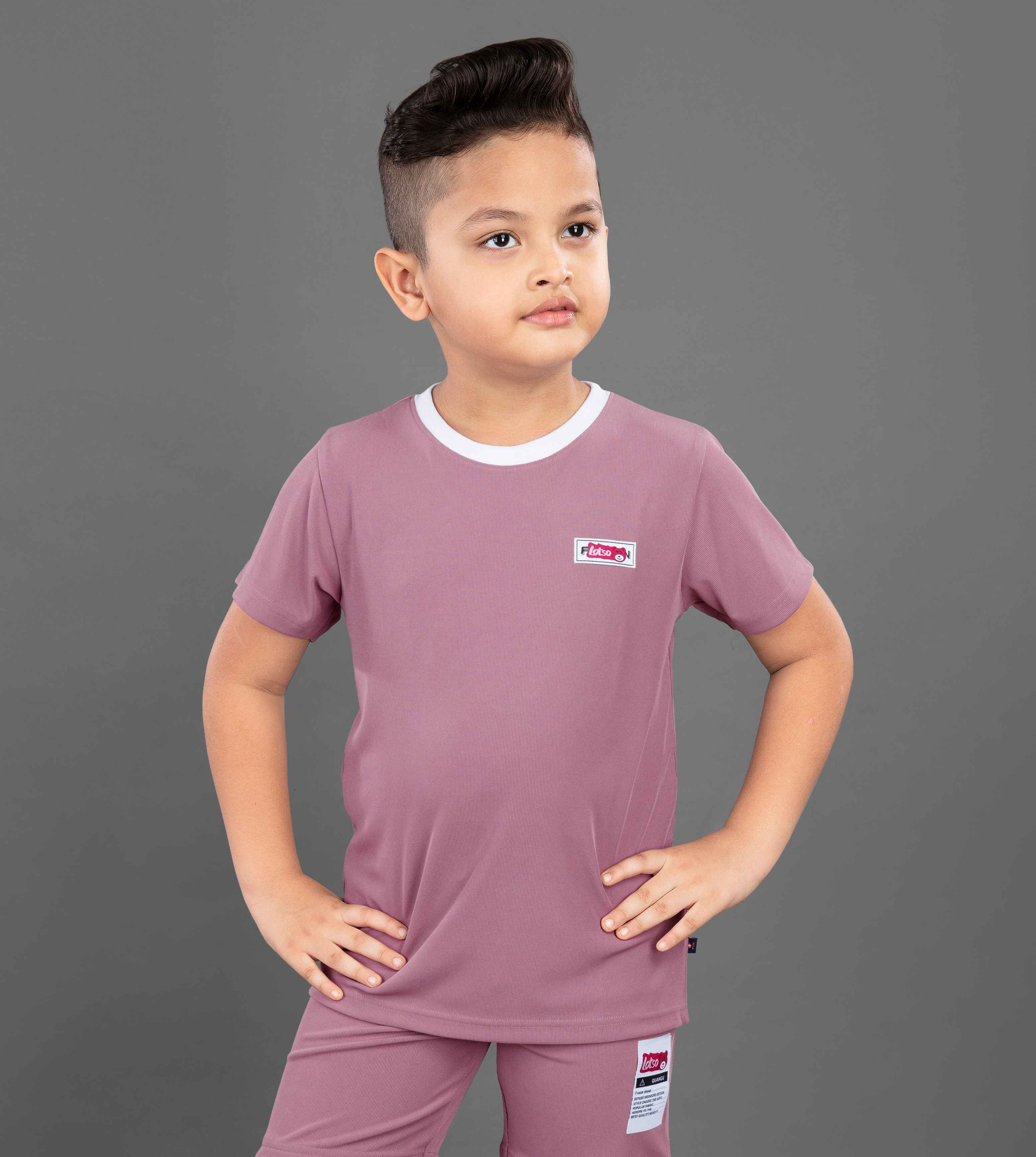     			3PIN Purple Polyester Boys T-Shirt & Shorts ( Pack of 1 )