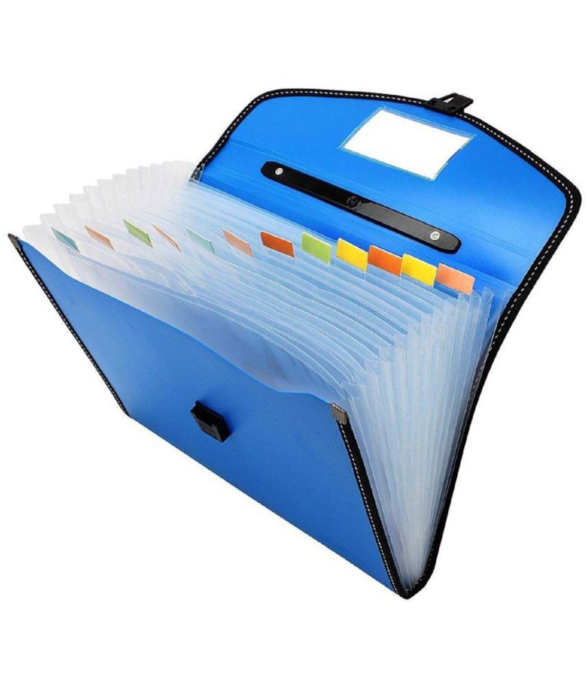     			banistrokes Blue Expandable File ( Pack of 1 )