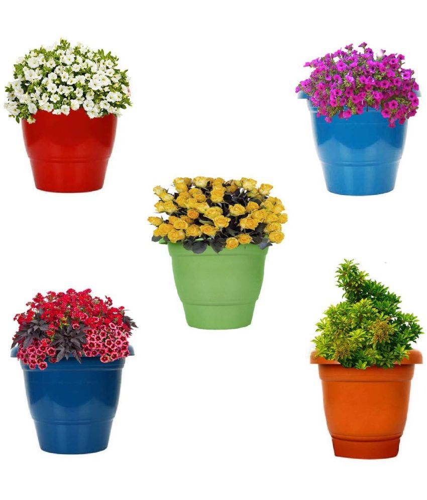     			10Club Multicolor Plastic Flower Pot ( Pack of 5 )