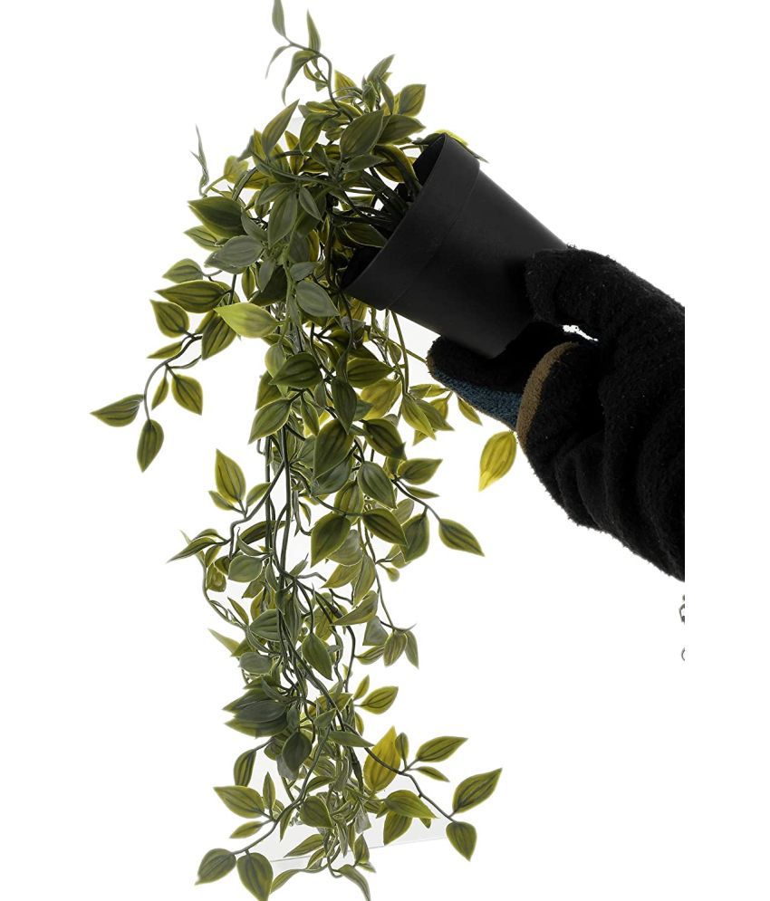     			Paperi - Green Creeper Vine Artificial Tree ( Pack of 1 )