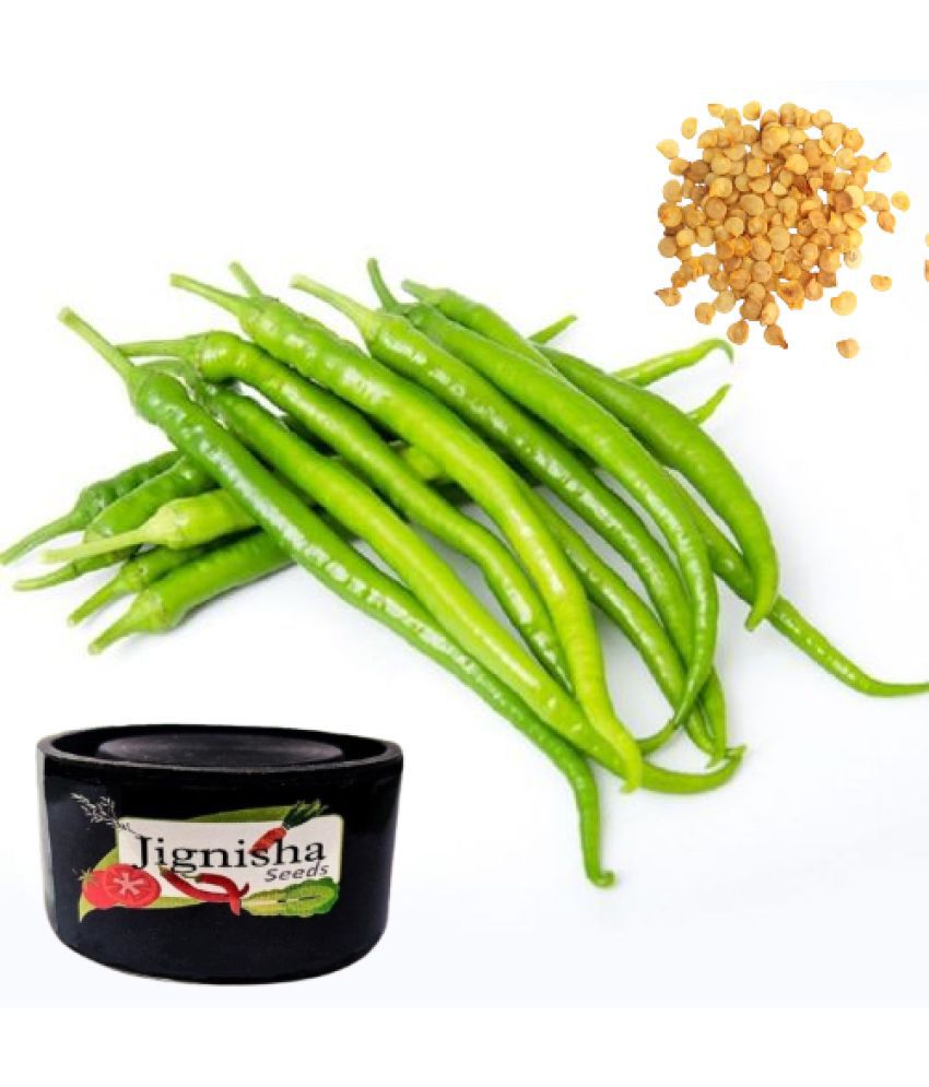     			Jignisha Fashion Chilli Vegetable ( 50 Seeds )