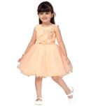 Aarika Net Frock For Girls ( Pack of 1 , Peach )