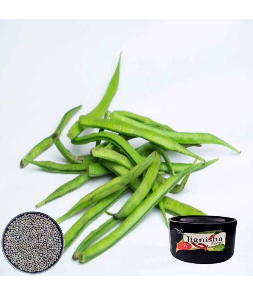     			Jignisha Seeds Guar Phali Vegetable ( 50 Seeds )