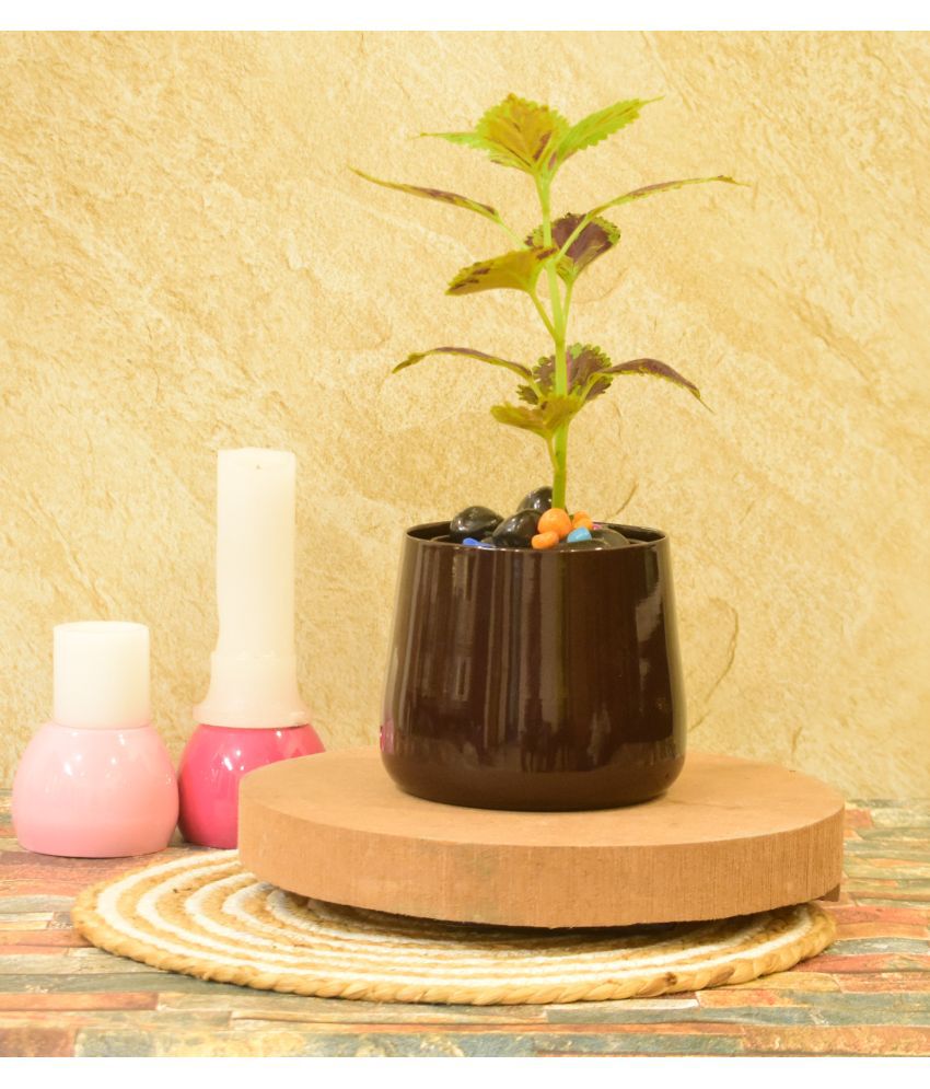     			Sone key Chidiya Light Brown Metal Flower Pot ( Pack of 1 )