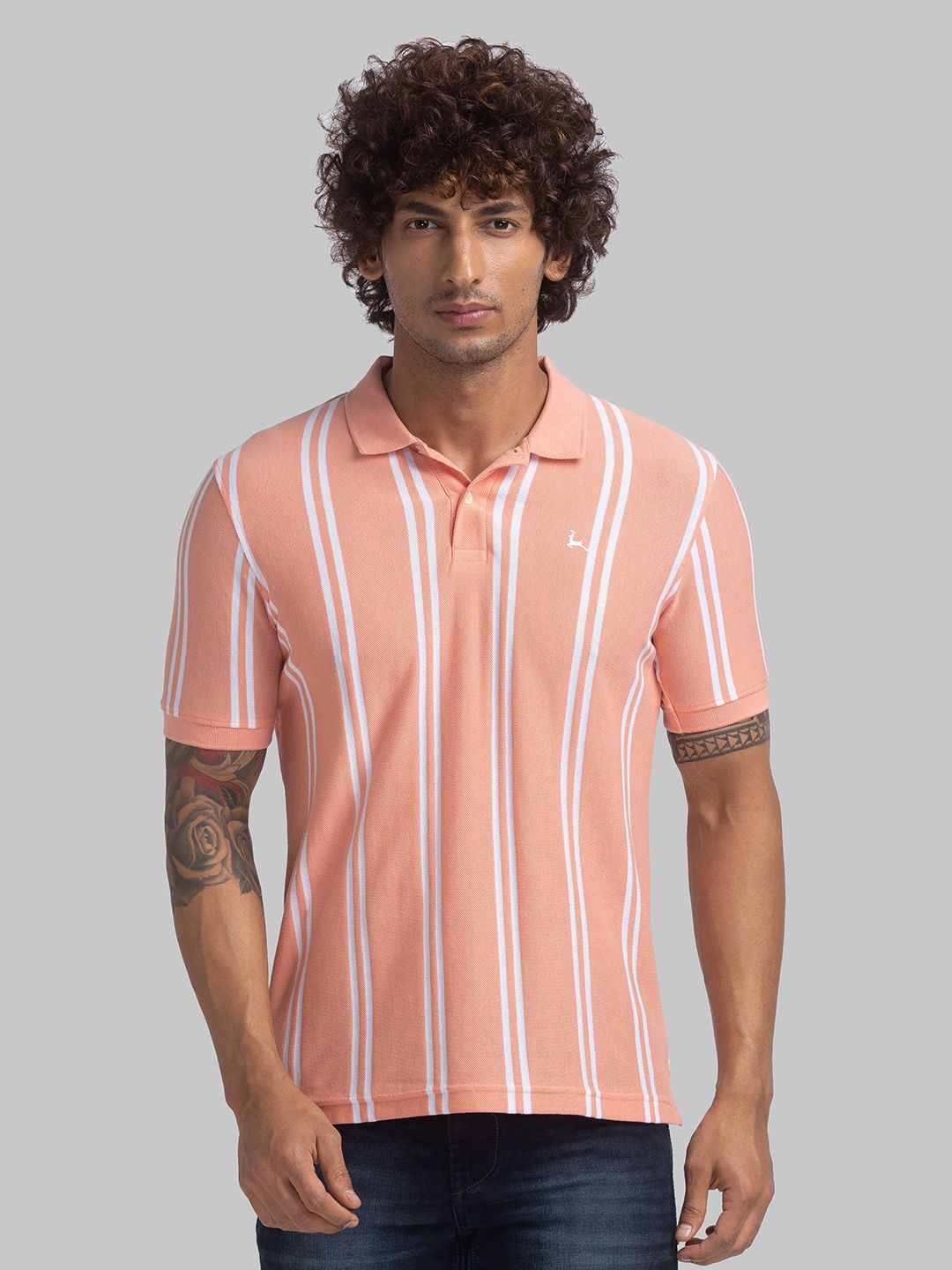     			Park Avenue Cotton Regular Fit Striped Half Sleeves Men's Polo T Shirt - Orange ( Pack of 1 )