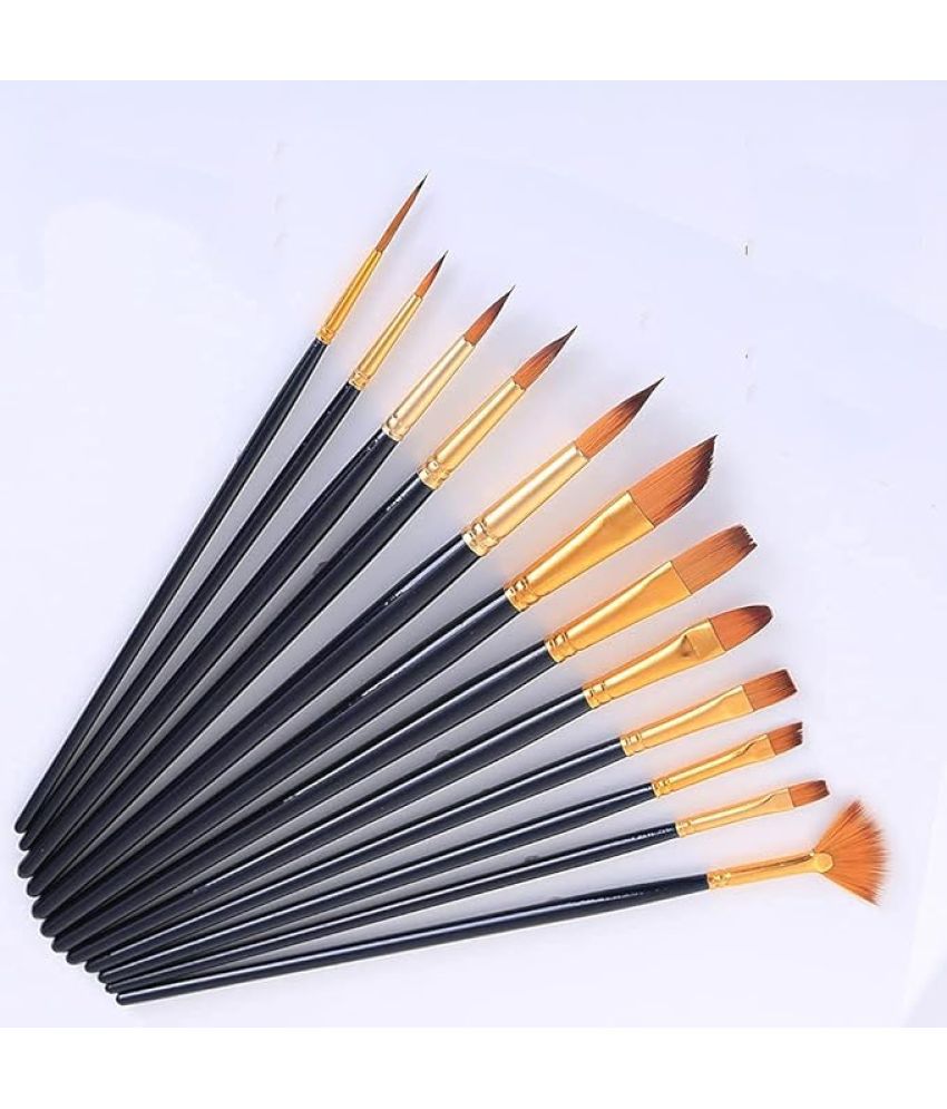     			ECLET Craft Synthetic Assorted Hair Mix Paint Brushes Set of 12 Professional Round Pointed Tip Nylon Hair Artist Acrylic Paint Brush for Acrylic/Watercolor/Oil Painting Color_Black