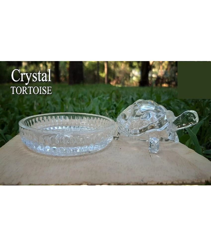     			PAYSTORE Glass Tortoise