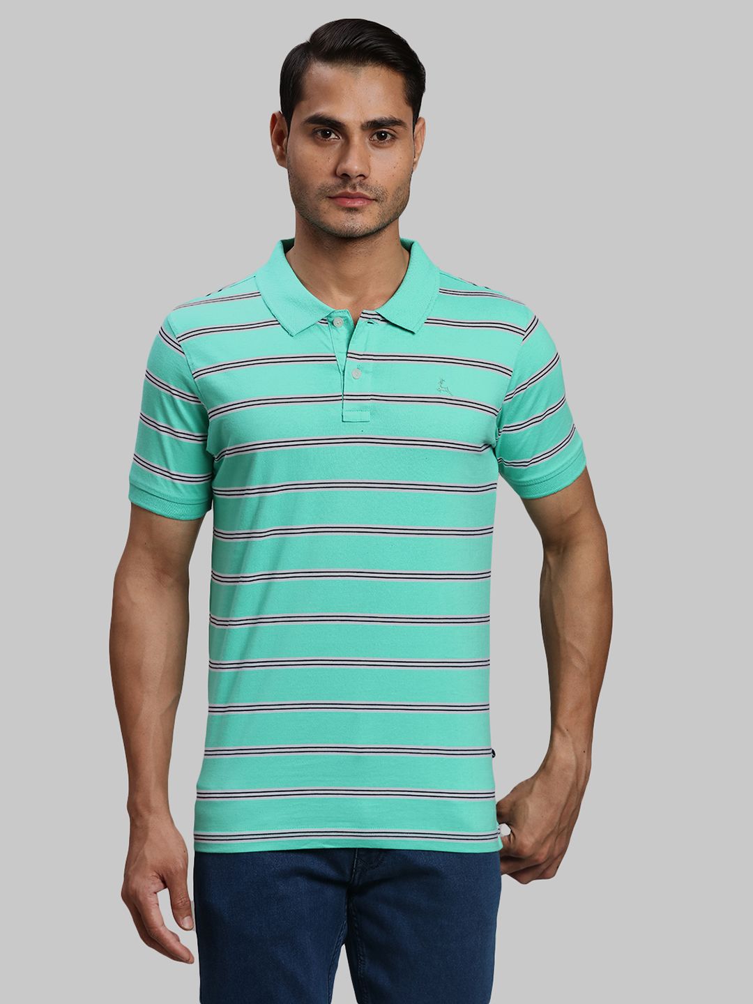     			Parx Cotton Regular Fit Striped Half Sleeves Men's Polo T Shirt - Green ( Pack of 1 )