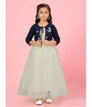 Aarika Net Fit And Flare Dress For Girls ( Pack of 1 , Cream )