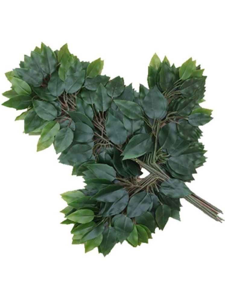     			Green plant indoor - Green Wild Artificial Flowers Bunch ( Pack of 12 )