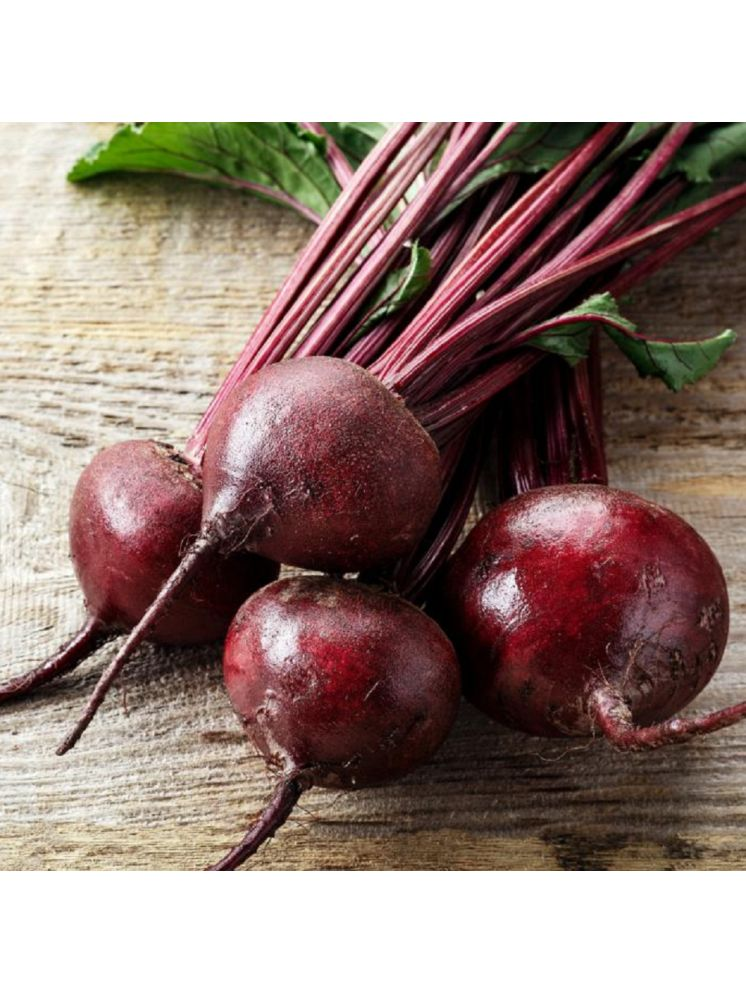     			Jignisha Seeds Hybrid Beetroot Vegetable ( 50 Seeds )