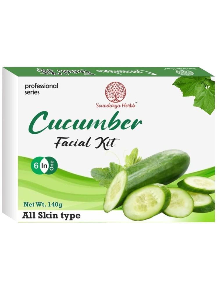     			Soundarya Herbs Cucumber Skin Refreshing 3 Times Use Facial Kit For All Skin Type Cucumber 1 ( Pack of 1 )