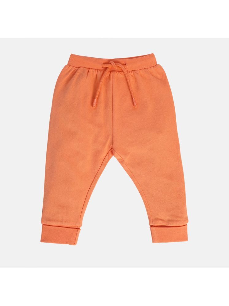     			Miniklub Baby Boys All Around Elastic Full Length Knit Jogger (Orange Color)