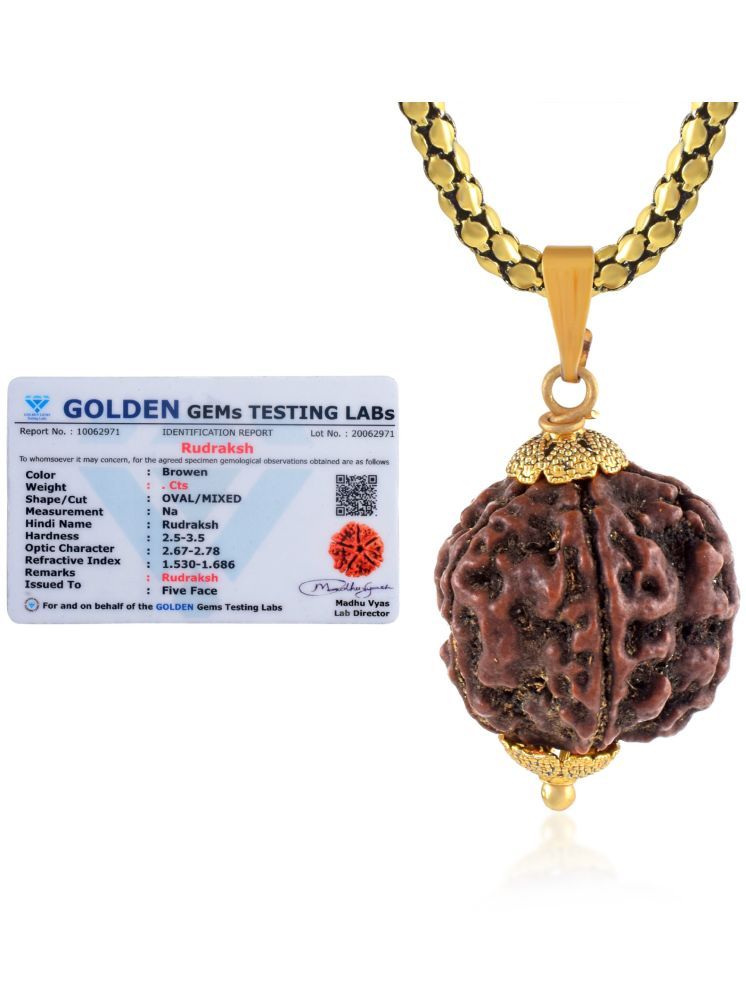     			ADMIER 5 Mukhi Rudraksha Pendant With Chain ( Pack of 1 )