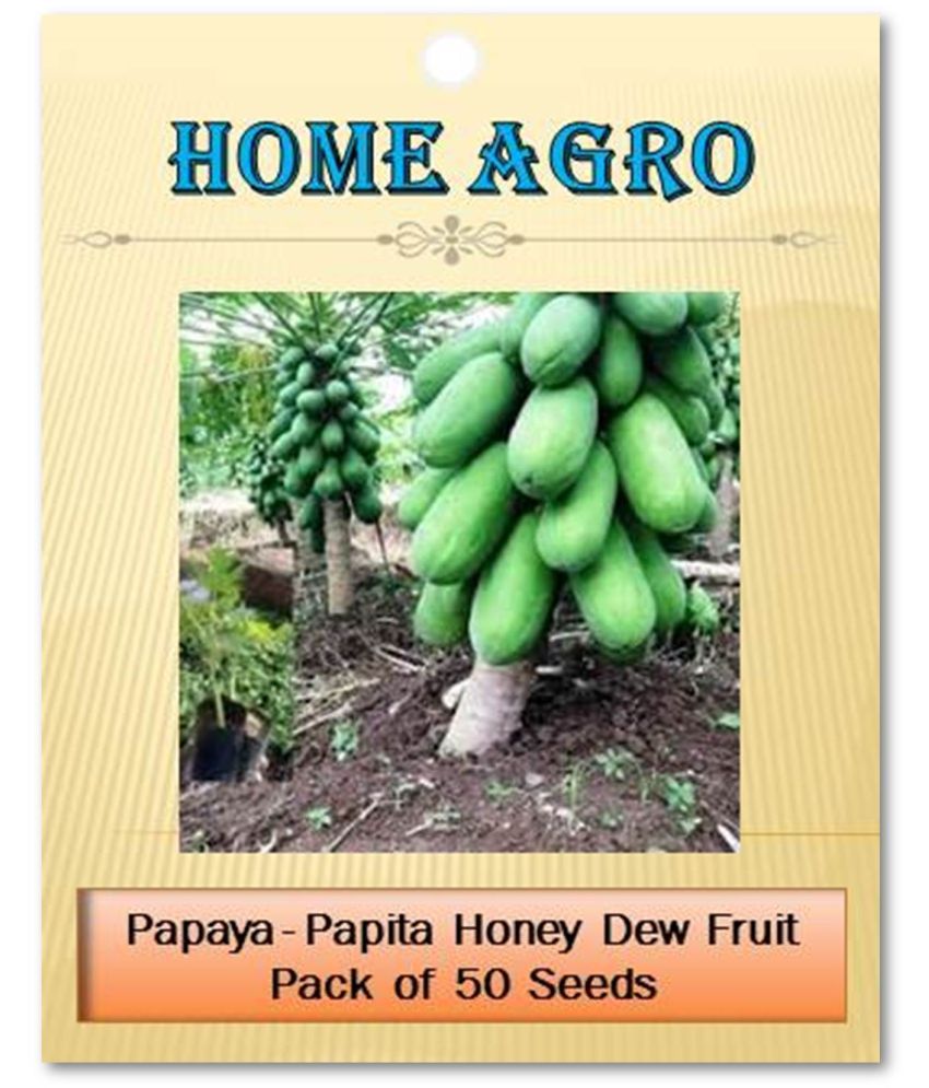     			homeagro - Fruit Seeds ( 50 - seed )