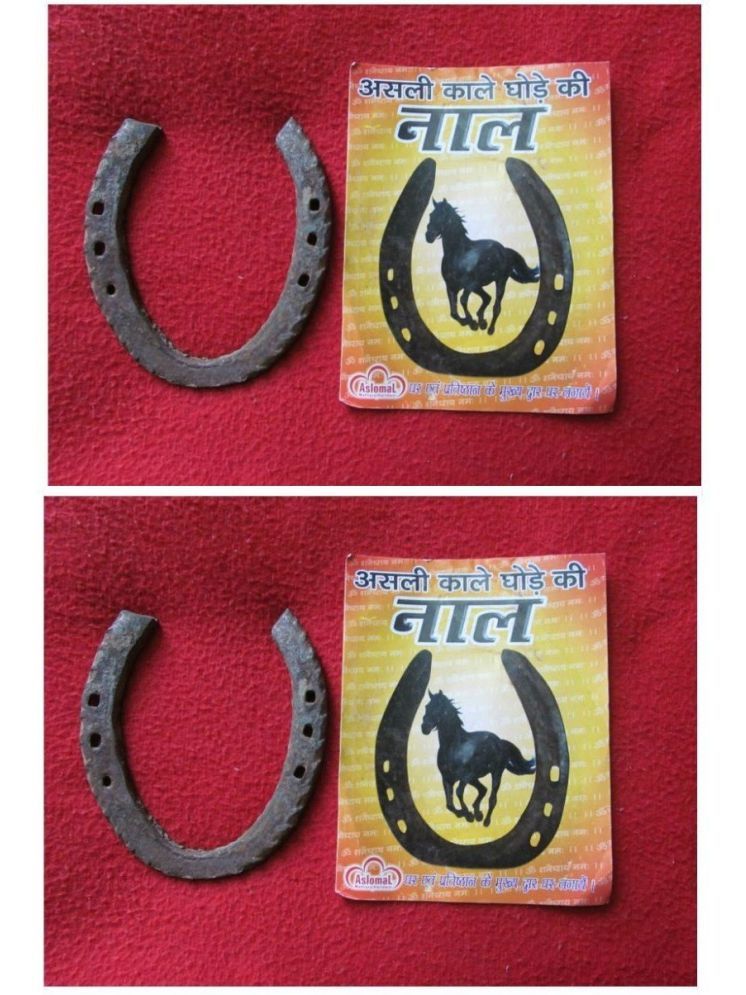     			Shri Astha Vinayak Iron Ghode Ki Naal