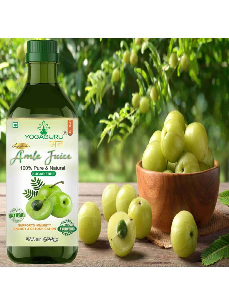     			yogaguru mantr ayurvedic amla juice 500ml pack of1