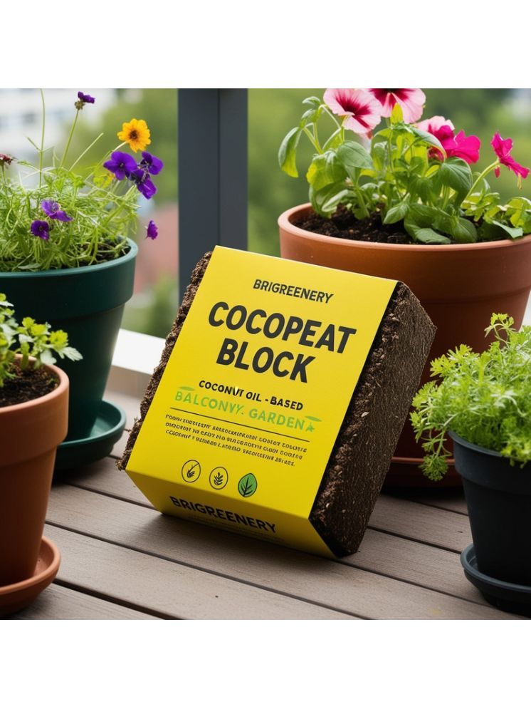     			BriGreenery Bricks Cake ( 5 ) For Lawns and terrace gardening