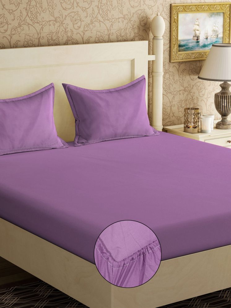     			Klotthe Poly Cotton Solid 1 Double with 2 Pillow Covers - Purple