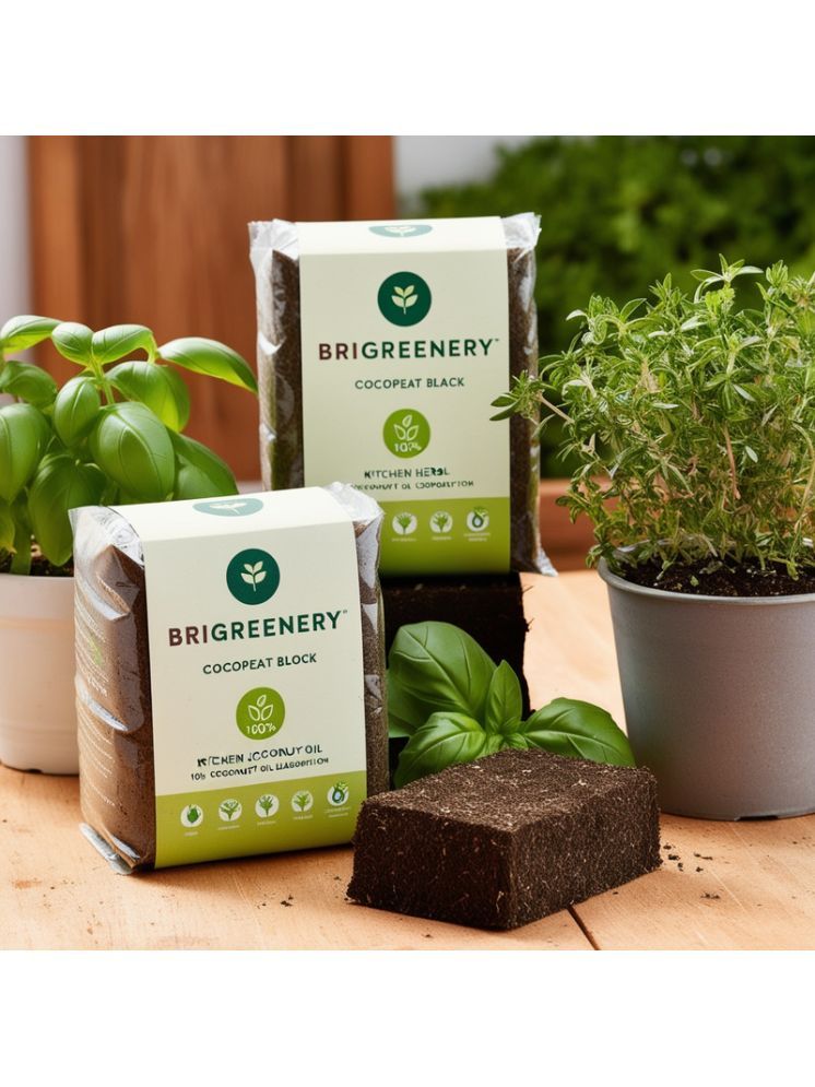     			BriGreenery Bricks Cake ( 5 ) For Indoor and Outdoor Plant