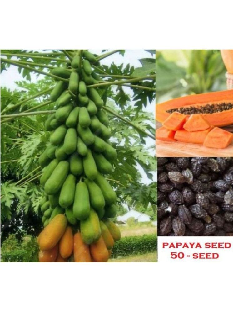     			Jignisha Seeds Papaya Fruit ( 50 Seeds )