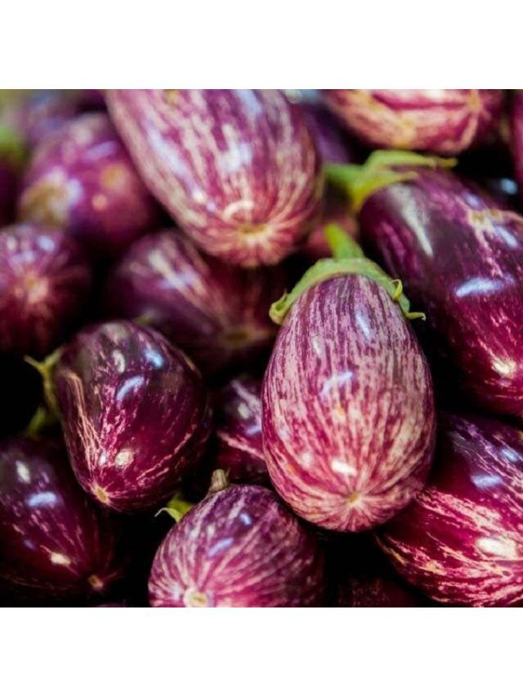     			Jignisha Seeds Hybrid Kateri Brinjal Vegetable ( 50 Seeds )