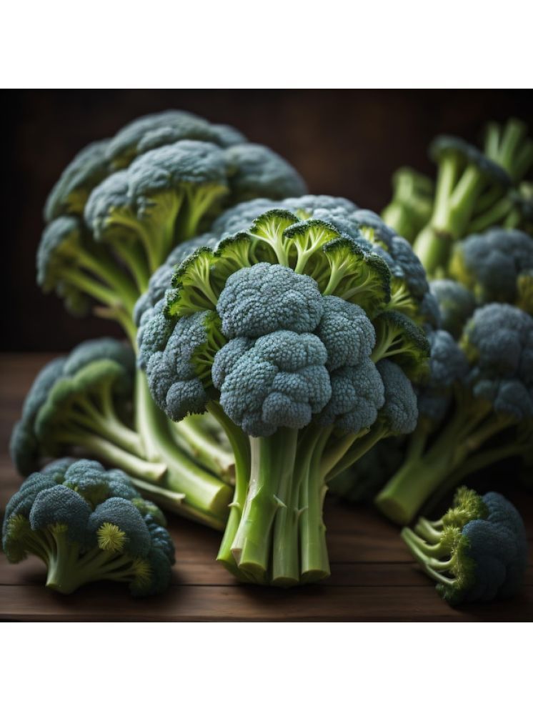     			Jignisha Seeds Organic Broccoli Vegetable ( 100 Seeds )