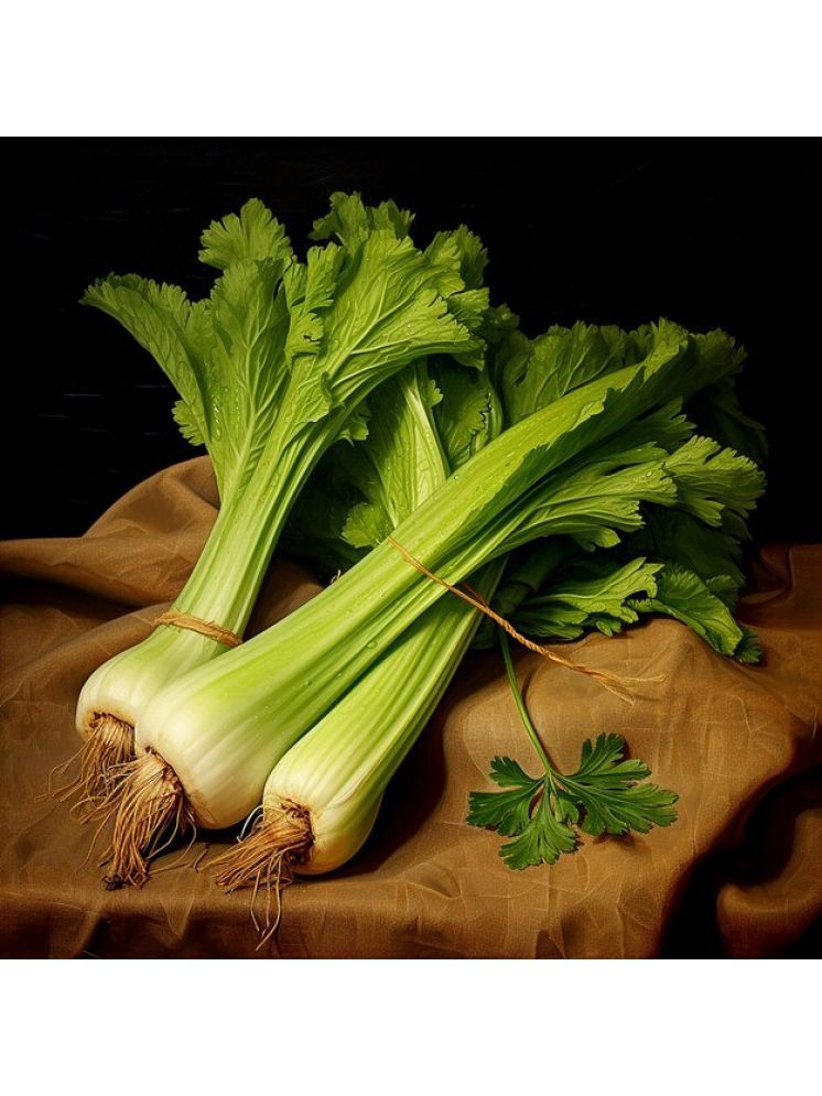     			Jignisha Seeds Celery Tall Utah Vegetable ( 100 Seeds )