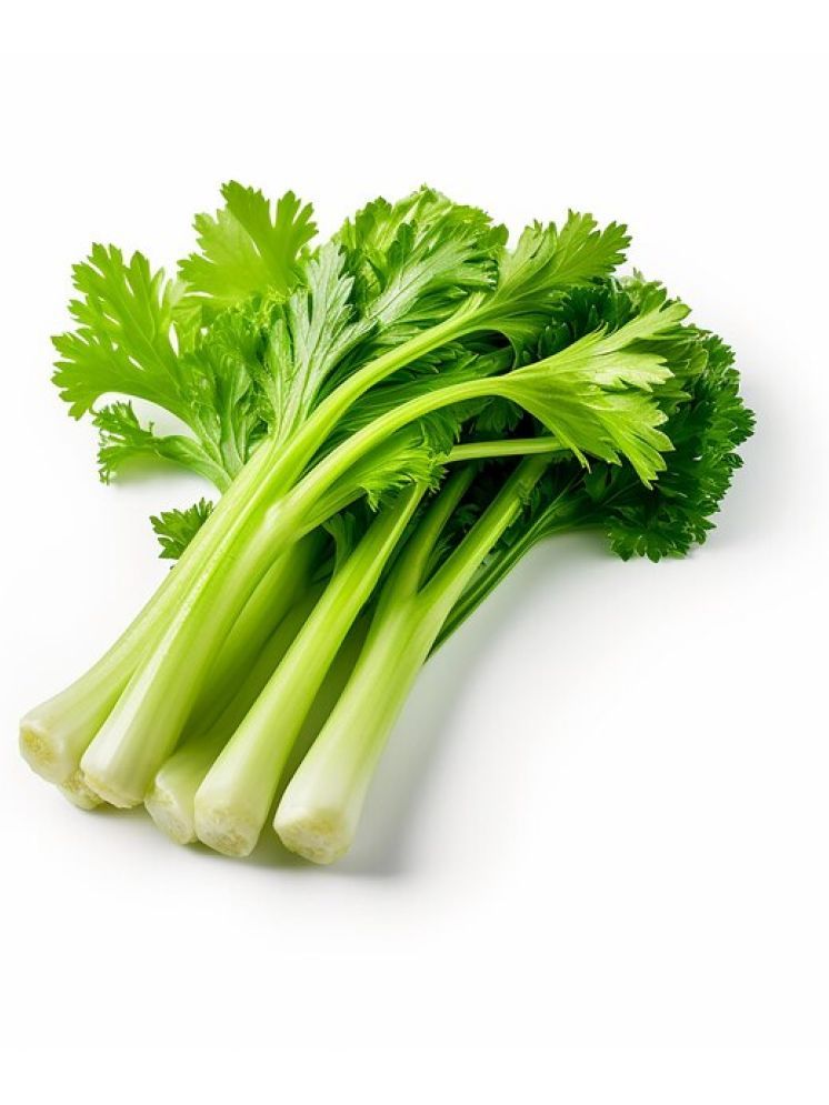     			Jignisha Seeds Celery Vegetable ( 100 Seeds )