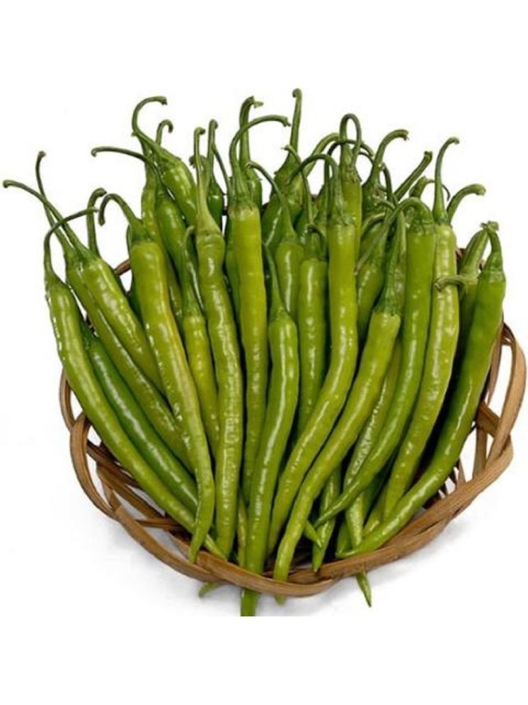     			Jignisha Seeds Hybrid Mirchi Vegetable ( 50 Seeds )